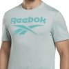 Reebok t-shirt seledynowy bawełniany męski koszulka duży napis
